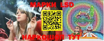 прущие грибы Моздок
