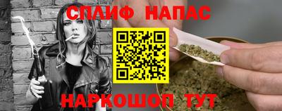 прущие грибы Моздок