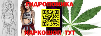 прущие грибы Моздок