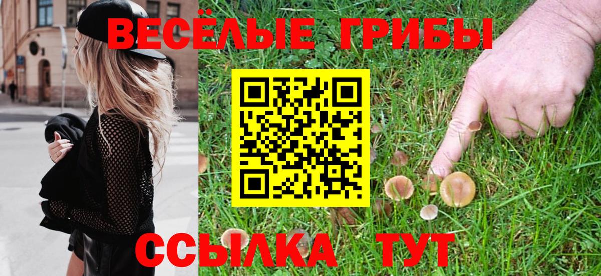 Псилоцибиновые грибы Psilocybe  Вход с VPN  дарнет шоп  Богородицк  Галлюциногенные грибы ЛСД 
